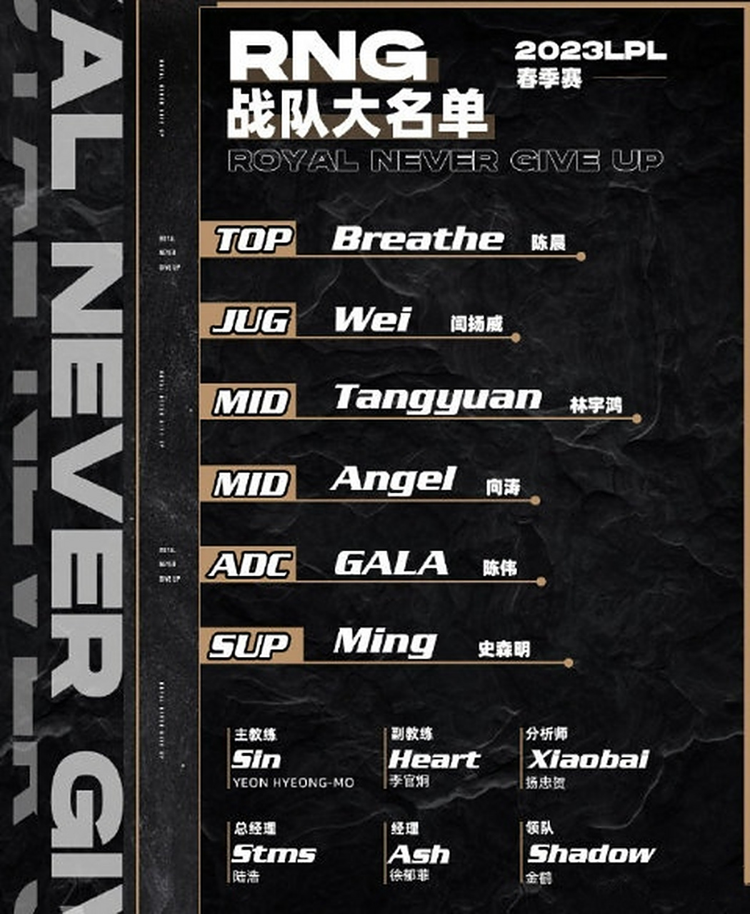 17年rng世界赛拿了第几名