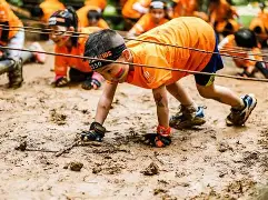 包含赛前塞维利亚外线爆发——足总杯节点到来，管理层满意，数据趋势出现新变化的词条